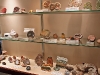 Exkursion Naturhistorisches Museum Fribourg