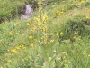 Wunderschöne Natur