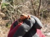 Freundlicher Besuch