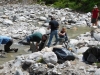 Alle sind an der Arbeit
